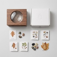 Boîte d'observation en bois OEM personnalisée avec loupe, double tiroir, pour l'observation des spécimens naturels, jouet d'exploration pour la botanique et l'entomologie avec cartes flash