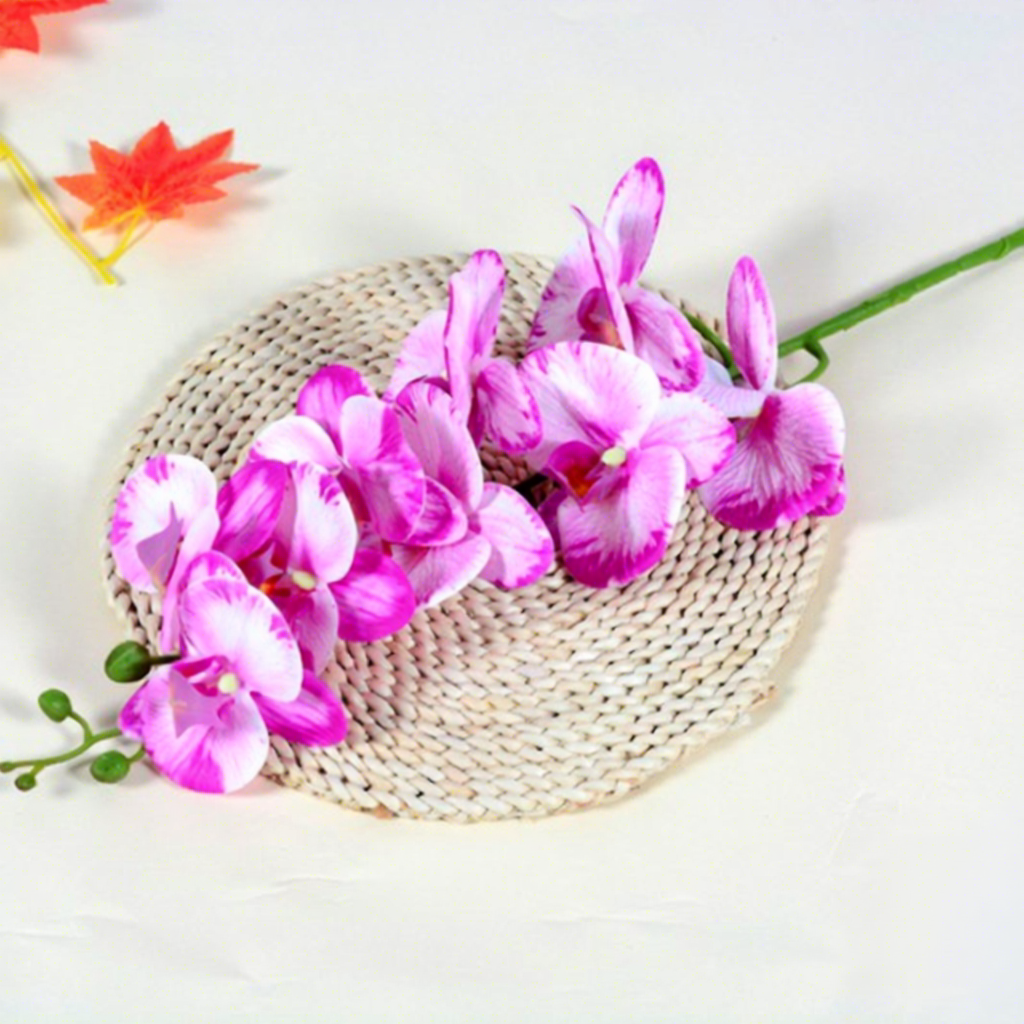 9-head phalaenopsis orchid-pink and white princess