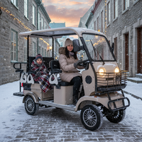 HLD Nouveauté 800w 60v Vente en gros Quadricycle électrique 4 roues 6 places avec toit ouvert, scooter électrique de mobilité