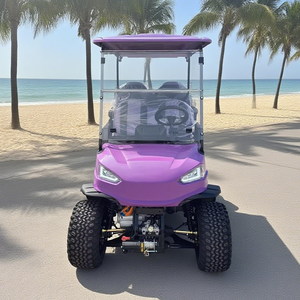 Côte à côte <span class=keywords><strong>4x4</strong></span> voiture électrique tout-terrain Buggy voiturette de golf - Product Image 4