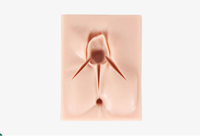 Nouveau simulateur de formation médicale pour sutures d'incision périnéale, modèle de vulve en silicone pour la formation aux traumatismes médicaux