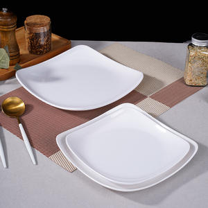 Platos de cena de melamina irrompibles de grado alimenticio de alta calidad <span class=keywords><strong>Buffet</strong></span> Catering Hotel juego de platos de <span class=keywords><strong>sushi</strong></span> blanco para restaurante - Product Image 6