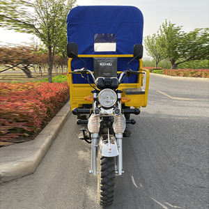 Triciclo de carga de motocicleta de gasolina de 3 ruedas <span class=keywords><strong>Tribike</strong></span> motorizado de tres ruedas con tienda - Product Image 2