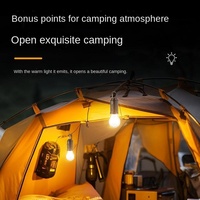Lampe de camping solaire LED rechargeable IP65 de type C, éclairage d'urgence extérieur pour jardin, ampoule télécommandée à intensité variable 360°