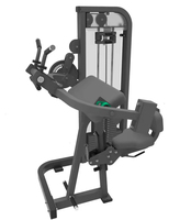 Appareil de fitness professionnel de haute qualité pour l'entraînement de force en salle : Extension dorsale et entraîneur abdominal