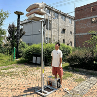 Palans électriques portables à câble vertical, capacité de charge de 100 kg pour les chantiers de construction - Matériel pour le coulage de colonnes romaines en béton