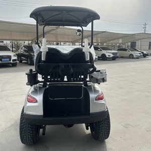 Voiturette de golf électrique haut de gamme 2 places avec batterie au lithium et BMS, <span class=keywords><strong>moteur</strong></span> AC, autonomie de 90 km, système de direction EPS en option, fabriquée en usine OEM - Product Image 4