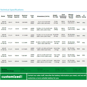 Anpassbare LiFePO4 51,2V 100Ah 5,12kWh Golfwagen-Batterie Metallgehäuse IP65 Wasserdicht 6000 Zyklen 64-80km Reichweite 5 Jahre Garantie - Product Image 6