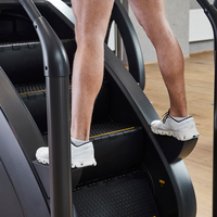 Équipement de gymnastique commerciale Entraîneurs verticaux de forme physique Machine multi d'escalade