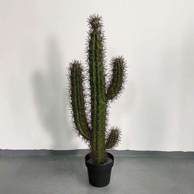 Jingwei Zhu red thorn 1.1m