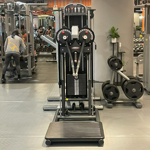 Liquidación: Máquina de Elevación Lateral para Gimnasio Comercial, Equipo de Fitness para Hombros y Deltoides, Venta al por Mayor, Bajo MOQ, OEM - Product Image 4