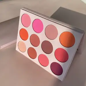 2023 Top bán ép bột Matte Highlighter đường viền Palette Blush bột Palette nhãn hiệu riêng