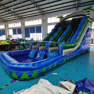 Tobogán Acuático Tropical Inflable de Doble Carril, Castillo Hinchable Acuático Comercial para Niños con Piscina, para Interiores y Exteriores, para Escuelas - Product Image 2