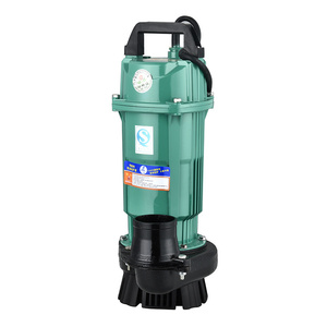 Bomba Sumergible para Agua Limpia 220V AC 50Hz con Soporte OEM y Bajo Consumo - Product Image 1