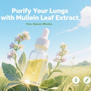 Extrait de feuille de molène, complément alimentaire naturel pour la purification pulmonaire, disponible en divers emballages : bouteille, fût, boîte, verre, plastique, pot Mason - Product Image 2