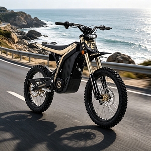 Nueva Motocicleta Eléctrica Todoterreno 79Bike Lynx 2026, 12KW, 72V, 40Ah, 56MPH, Alta Velocidad, 120km de Autonomía, para Adultos - Product Image 1