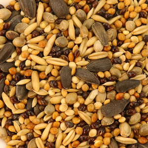 Alimentation pour pigeons de course mixte séchée en gros – Direct Usine - Product Image 2