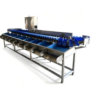 Máquina Automática de Clasificación y Calibración de Patas, Alas y Pollos Enteros para Granjas, para el Procesamiento de Frutas, Verduras y Nueces - Product Image 3