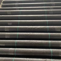 Toile de paillage tissée pour le contrôle des mauvaises herbes, usage domestique et jardinage, pour la protection des sols