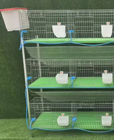 Vente en gros usine Cage à perroquets suspendue en métal, grande capacité, pour oiseaux d'ornement, avec gamelle