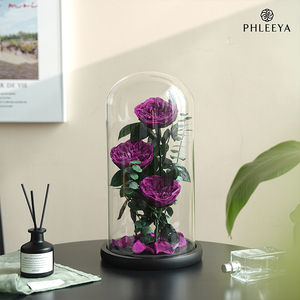 Bouquet di <span class=keywords><strong>Rose</strong></span> Stabilizzate all'Ingrosso Fiori Secchi Scatola di <span class=keywords><strong>Rose</strong></span> Naturali Decorazione per Matrimoni Cupola in Vetro Eterna Infinity - Product Image 3