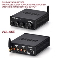 Bxii-amplificateur à tube sous vide BT 5.0, préamplificateur pour casque d'écoute, mini-amplificateur, pour home cinéma, new