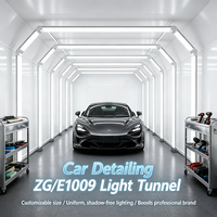 Lampe de travail LED pour l'entretien automobile, lustrage et detailing, éclairage de portique, IP54, alimentation DC/AC