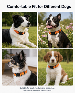 Reflective Nylon Dog <b>Collar</b> and <b>Leash</b> Set Adjustable <b>Pet</b> Lead Padded Handle Metal Hardware for Daily Walking - Product Image 4