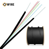 OEM FTTH kabel Drop 2-Core Fiber Optic G.652D warna kustom & Panjang tahan UV dengan kekuatan FRP anggota untuk penggunaan luar ruangan