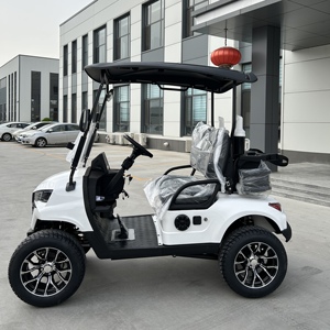 Carrito de Golf Eléctrico de 2 Plazas, Venta Caliente, para Campos de Golf y Clubes Campestres, Carga Rápida, Fabricante OEM, Vehículo Eléctrico - Product Image 3