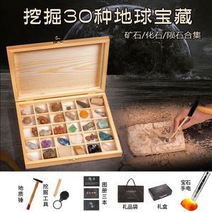 Kit de fouilles de fossiles en plastique réel pour enfants - Cadeau d'anniversaire ou de Pâques scientifique pour garçons et filles - Jouets STEM de fouilles de fossiles pour les 8-13 ans - Product Image 3
