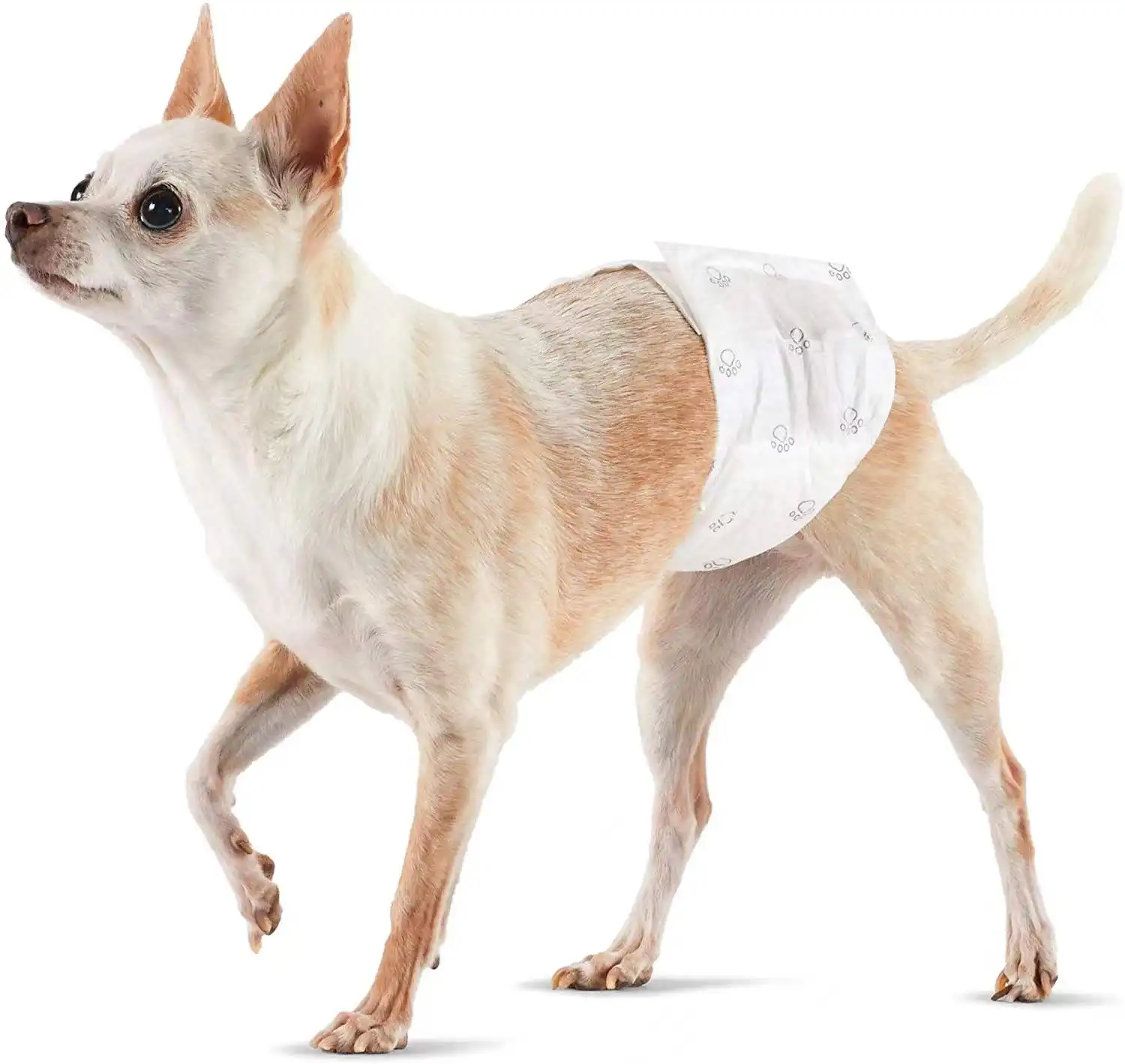 Dog Pet Diaper Disposable Strong Absorb Soft And Breathable Pampers For Female And Male