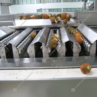 Fabriek Automatische Ananas Sap Plant Machines Hele Fabriek Verwerkingslijn Oplossing