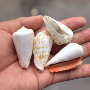 Piccola torre verde lumaca fori di conchiglia lucidati naturali fai da te carillon del vento accessori asili nido materiali colorati Seastar - Product Image 3