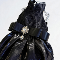 Robe de Gala de Luxe Noire en Dentelle pour Animaux de Compagnie, Élégante Robe de Mariage pour Chien avec Pendentif Strass, Tenue de Princesse pour Petits Chiens et Chats