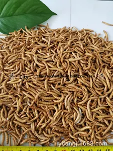 Insectos Liofilizados, Gusanos Secos, Bocadillos para Hámsteres, Alimento para Peces Tropicales Arowana, Pez Pajita, Luohan, Shandong - Product Image 5