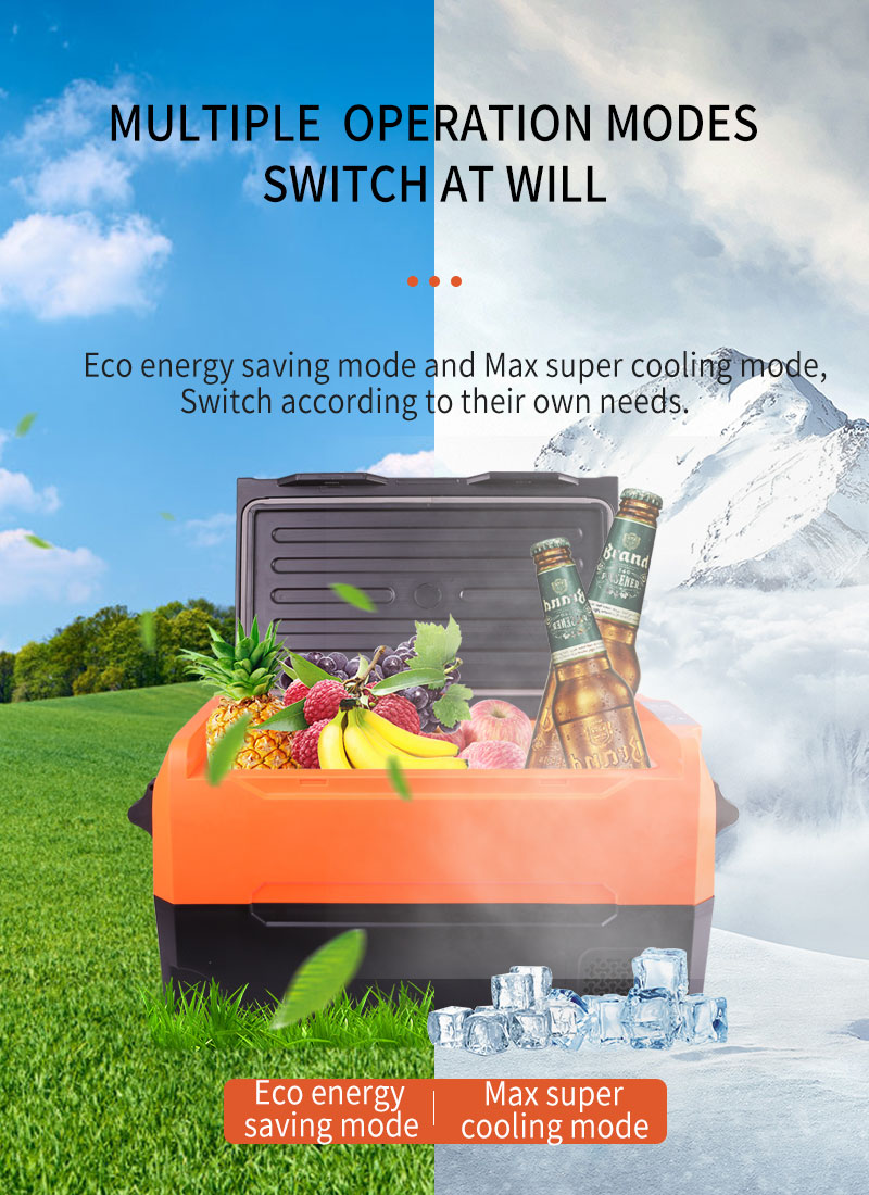 55L New Style Camping Fridge Freezer 12v 24v 220v Mini Refrigerator For Car