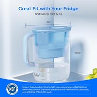Grand pichet à filtre à eau de 10 tasses Long-Life Lucid de 200 gallons