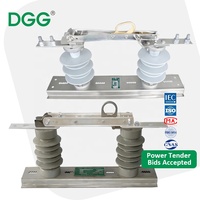 Interruptor de Aislamiento de Silicona y Porcelana de Alta Calidad DGG, Fabricante de Interruptores de Desconexión para Proyectos de Subestaciones Eléctricas