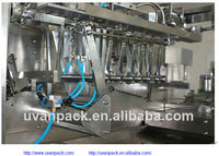 Machine d'emballage de poudre de poivre en sachet vertical certifiée CE
