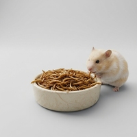 Vers de farine séchés de haute qualité pour l'alimentation des animaux de compagnie