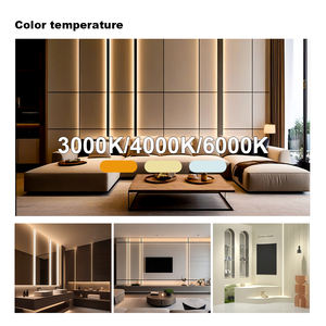 Tira de LED COB de 48V 8W/m - 3000K/4000K/6000K Blanco Cálido/Natural/Frío - Alto Brillo y Bajo Consumo para Iluminación Comercial y Doméstica - Product Image 5