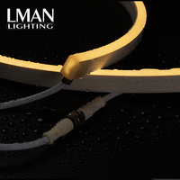 Kedatangan Baru Lampu Neon Fleksibel SMD2835 120leds/m 12W IP65 Tahan Air Dapat Diredupkan Untuk Penggunaan Rumah & Luar Ruangan