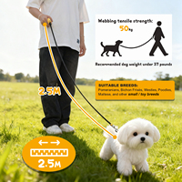 Laisse de chien rétractable mini personnalisée UMIONE avec lumière LED réglable, rechargeable, mains libres, en plastique, pour promenade nocturne