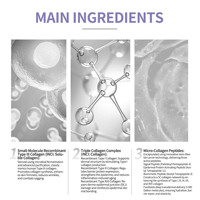 Masque facial au collagène recombinant de type III XVII du fabricant OEM, technologie de support nano-flexible pour la conception de réseau de collagène 5C