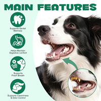 Oimmal 120g Compléments Alimentaires pour Animaux de Compagnie Charbon Actif Naturel de Qualité Alimentaire en Poudre pour Chiens et Chats Soutien Digestif Contre les Intoxications