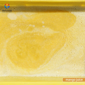 เครื่องทำน้ำมะม่วงเชิงพาณิชย์ เครื่องบดเนื้อมะม่วง สายการผลิตน้ำมะม่วง - Product Image 6