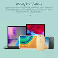 Souris sans fil miniature pour bureau, téléphone portable, tablette, ordinateur portable, optique, 4 boutons, double batterie, silencieuse