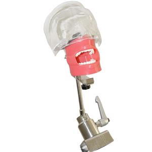Modelo de Práctica de <span class=keywords><strong>Implantes</strong></span> <span class=keywords><strong>Dentales</strong></span> para Prótesis Totales, Modelo de Enseñanza de Prótesis Orales, Modelo Anatómico de <span class=keywords><strong>Implantes</strong></span> <span class=keywords><strong>Dentales</strong></span> - Product Image 6