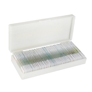 Lames préparées de microscopie de cellules végétales typiques <span class=keywords><strong>pour</strong></span> l'enseignement de <span class=keywords><strong>la</strong></span> botanique, spécifiquement sur <span class=keywords><strong>la</strong></span> <span class=keywords><strong>conjugaison</strong></span> de Spirogyra, Yulin Support, personnalisation possible - Product Image 2